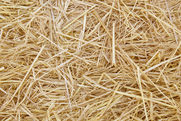 Acadami Chopped Barley & Wheaten Straw